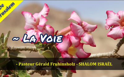 La voix de Dieu G. Fruhins…