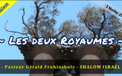 Les 2 royaumes – G. Fruhinsholz