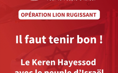 Opération Lion rugissant KH