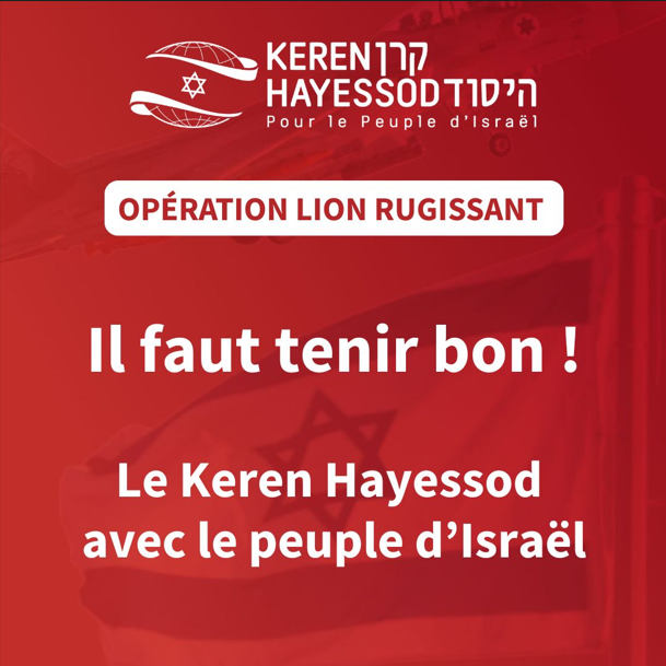 Opération Lion rugissant KH